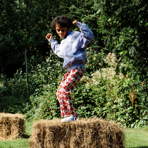 Stap voor stap een beetje groener Stap voor stap een beetje groener