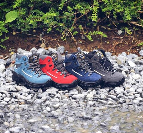 Hippeschoentjes Hippeschoentjes