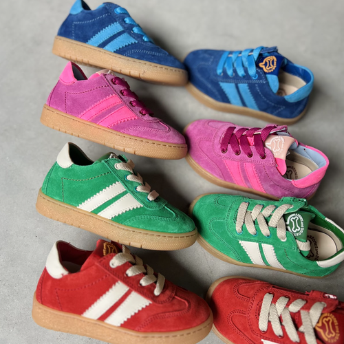 STONES and BONES STONES and BONES