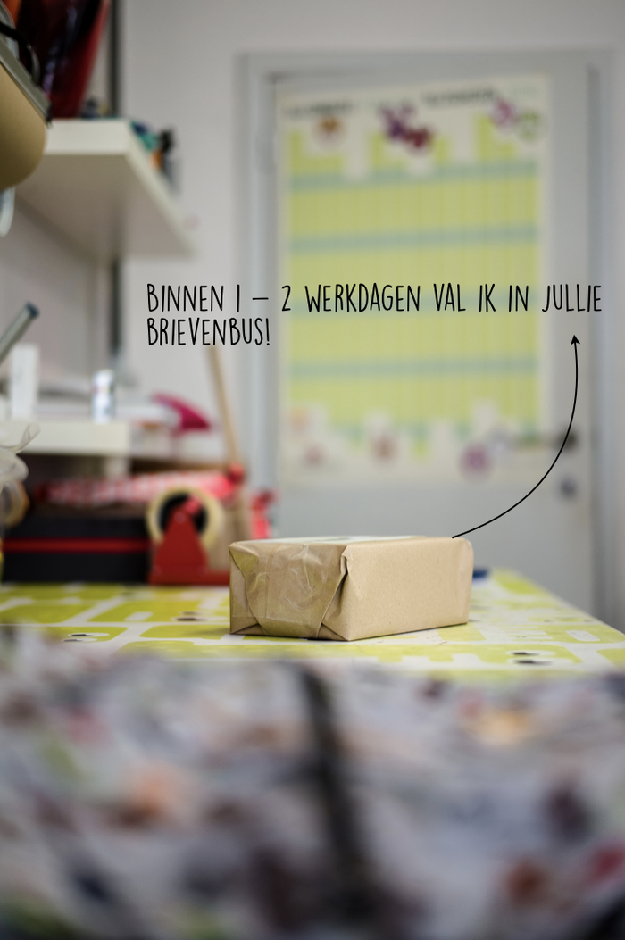 Schermafbeelding-2018-11-13-om-15-52-18 -